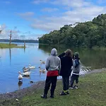 Chacara Pos Balsa Riacho Grande